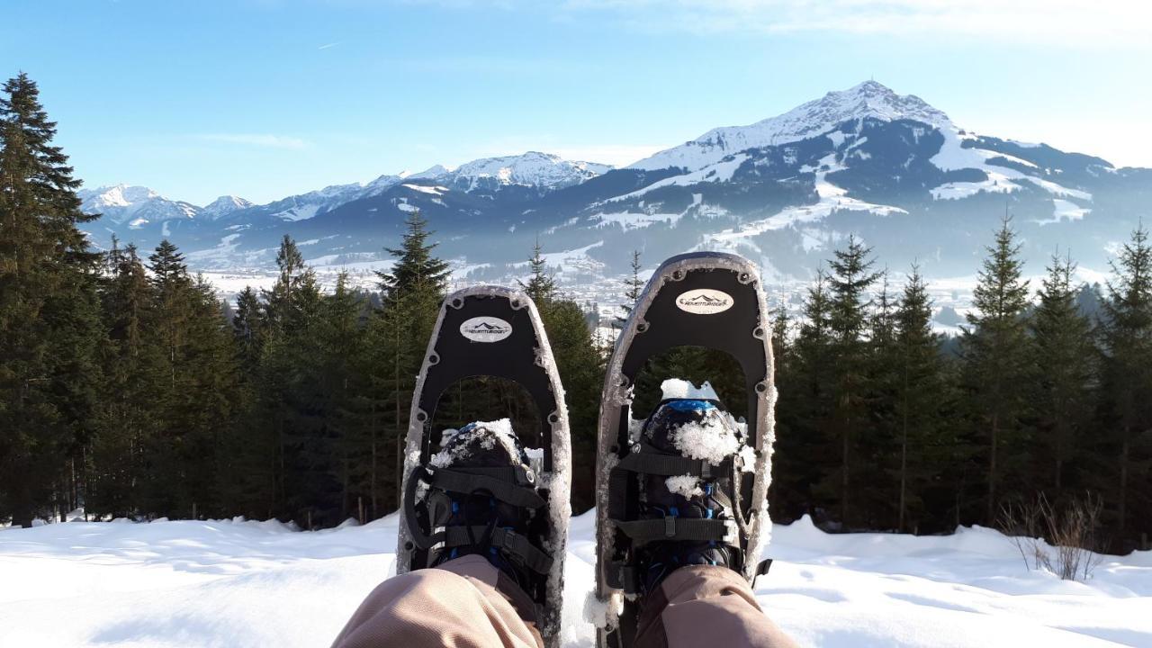 Domek alpejski Terry